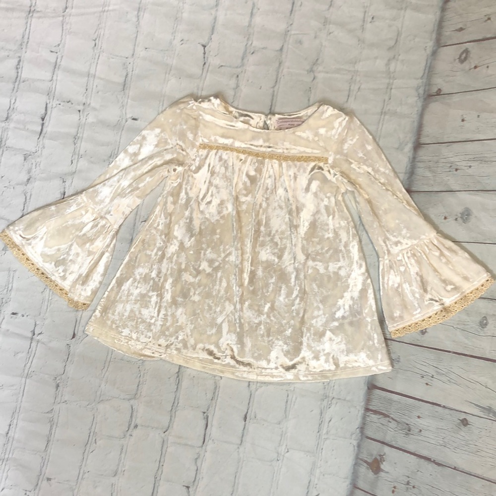 Catherine Malandrino Ivory Crushed Velvet Gold Trim
